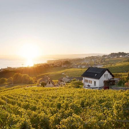 ホテル #Lavaux リュトリー エクステリア 写真