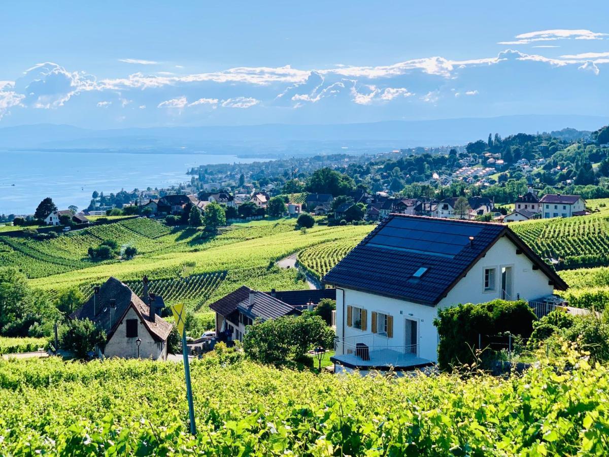 ホテル #Lavaux リュトリー エクステリア 写真