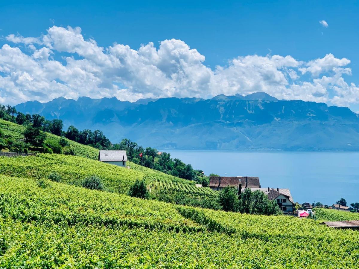 ホテル #Lavaux リュトリー エクステリア 写真