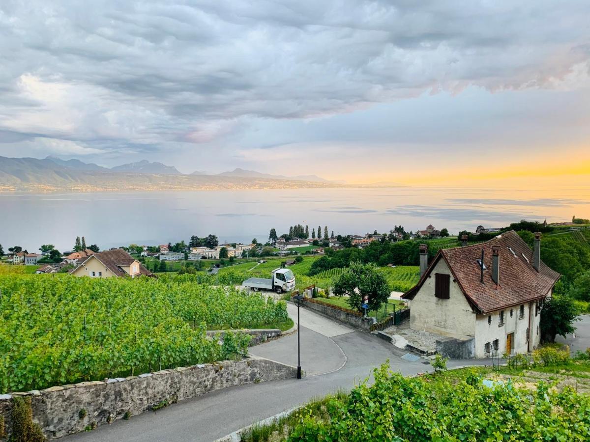 ホテル #Lavaux リュトリー エクステリア 写真