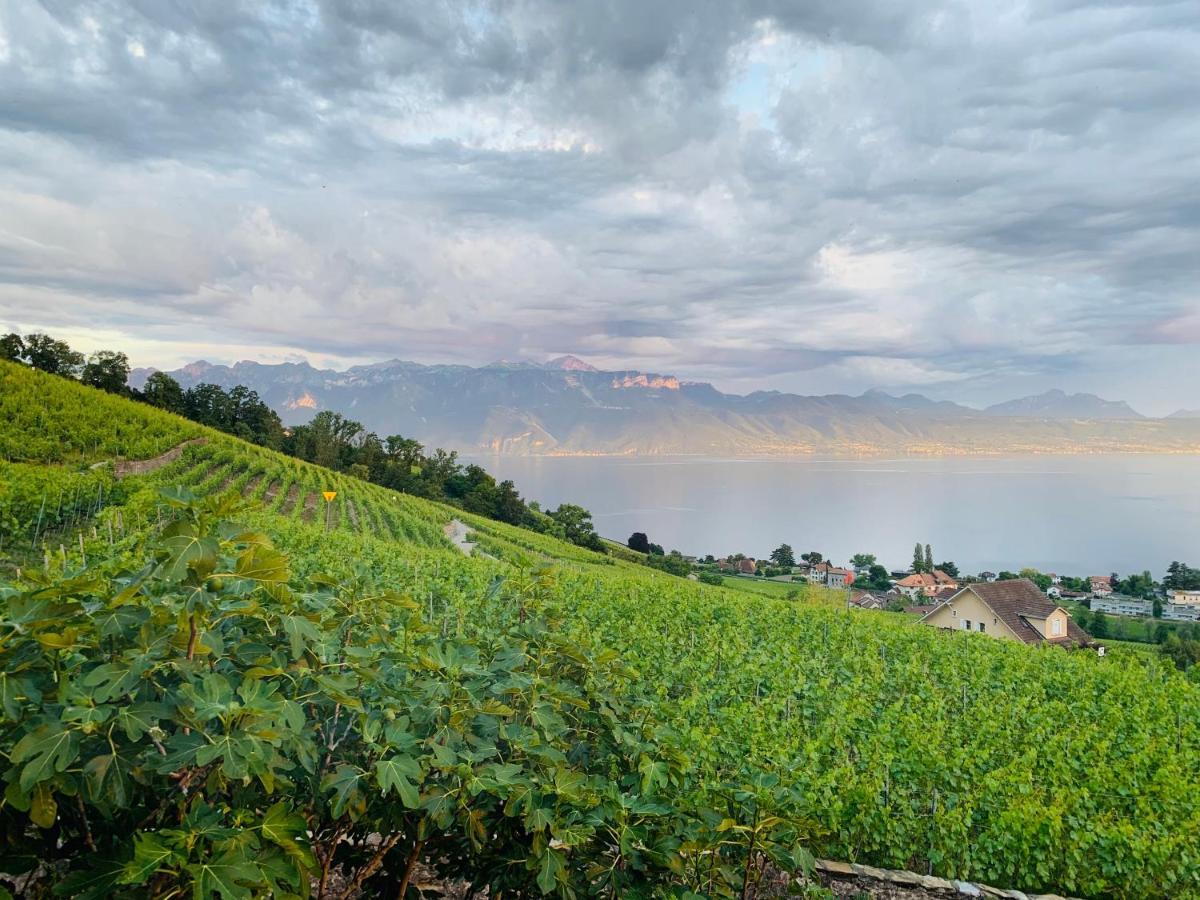 ホテル #Lavaux リュトリー エクステリア 写真