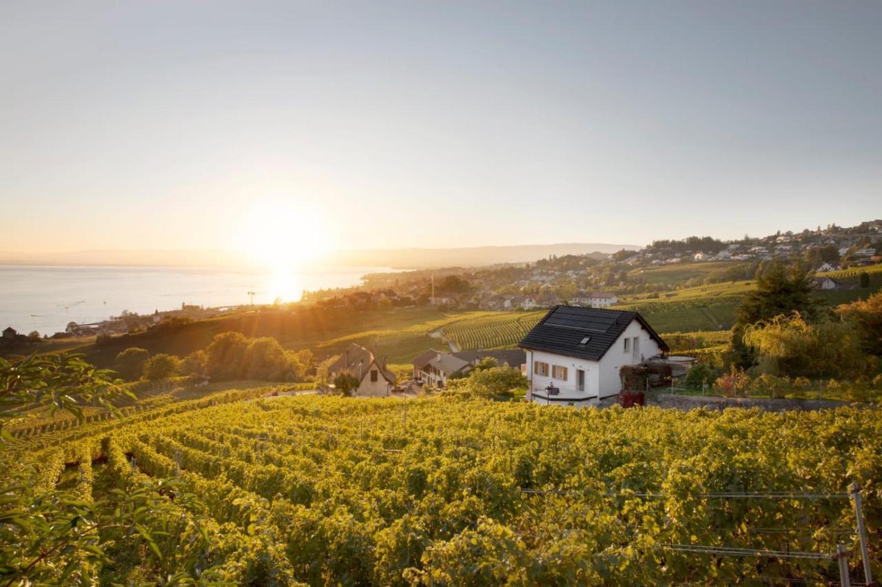 ホテル #Lavaux リュトリー エクステリア 写真